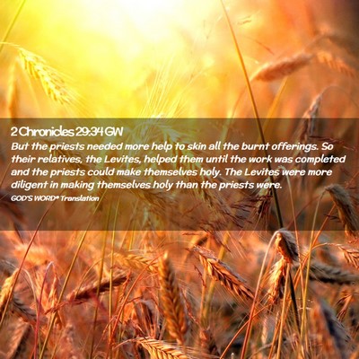 Picture 02 - 2 Chronicles 29:34 GW - But the priests needed more help to skin all the - Bible Verse Picture
