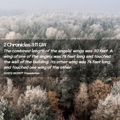 Picture 02 - 2 Chronicles 3:11 GW - The combined length of the angels’ wings was 30 - Bible Verse Picture