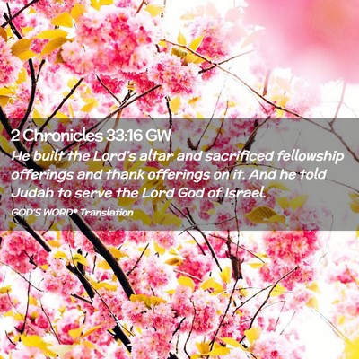 Picture 02 - 2 Chronicles 33:16 GW - He built the Lord’s altar and sacrificed - Bible Verse Picture