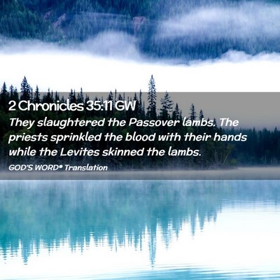 Picture 02 - 2 Chronicles 35:11 GW - They slaughtered the Passover lambs. The priests - Bible Verse Picture