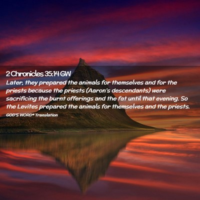 Picture 02 - 2 Chronicles 35:14 GW - Later, they prepared the animals for themselves - Bible Verse Picture