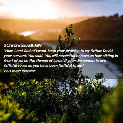 Picture 02 - 2 Chronicles 6:16 GW - “Now, Lord God of Israel, keep your promise to - Bible Verse Picture