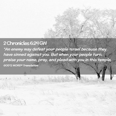 Picture 02 - 2 Chronicles 6:24 GW - “An enemy may defeat your people Israel because - Bible Verse Picture