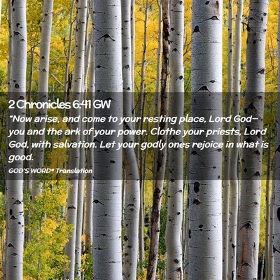 Picture 02 - 2 Chronicles 6:41 GW - “Now arise, and come to your resting place, - Bible Verse Picture