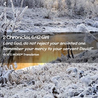 Picture 02 - 2 Chronicles 6:42 GW - Lord God, do not reject your anointed one. - Bible Verse Picture