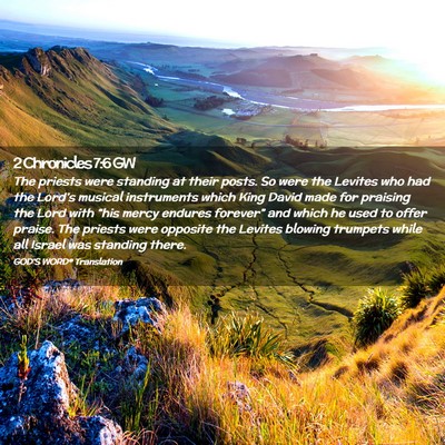 Picture 02 - 2 Chronicles 7:6 GW - The priests were standing at their posts. So were - Bible Verse Picture
