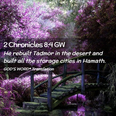 Picture 02 - 2 Chronicles 8:4 GW - He rebuilt Tadmor in the desert and built all the - Bible Verse Picture