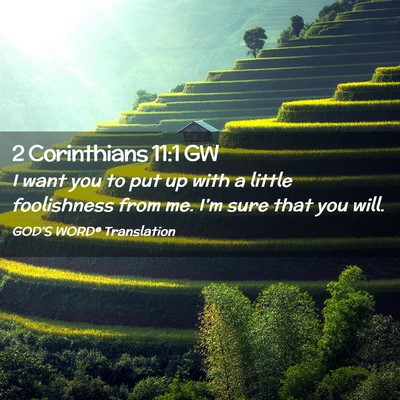 Picture 02 - 2 Corinthians 11:1 GW - I want you to put up with a little foolishness - Bible Verse Picture