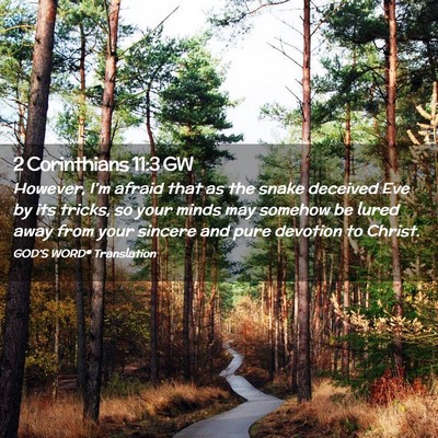 Picture 02 - 2 Corinthians 11:3 GW - However, I’m afraid that as the snake deceived - Bible Verse Picture