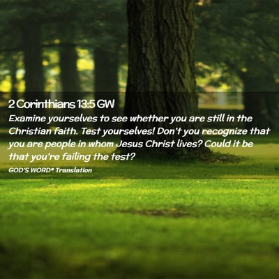 Picture 02 - 2 Corinthians 13:5 GW - Examine yourselves to see whether you are still - Bible Verse Picture