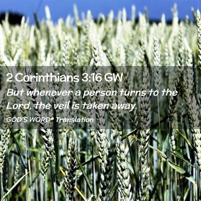 Picture 02 - 2 Corinthians 3:16 GW - But whenever a person turns to the Lord, the veil - Bible Verse Picture