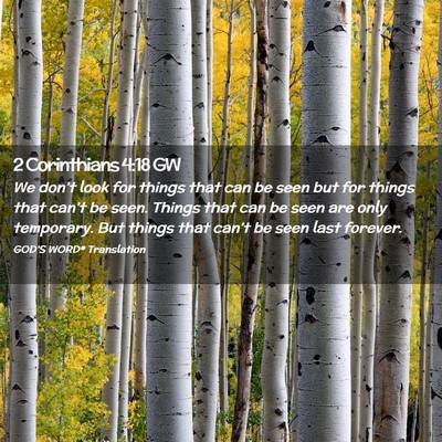 Picture 02 - 2 Corinthians 4:18 GW - We don’t look for things that can be seen but - Bible Verse Picture