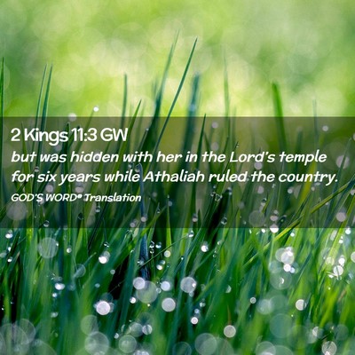 Picture 02 - 2 Kings 11:3 GW - but was hidden with her in the Lord’s temple - Bible Verse Picture