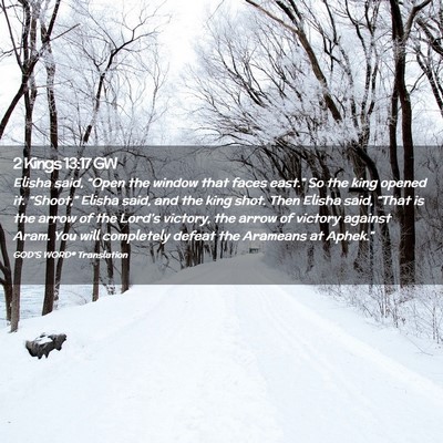 Picture 02 - 2 Kings 13:17 GW - Elisha said, “Open the window that faces - Bible Verse Picture