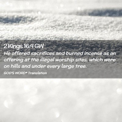Picture 02 - 2 Kings 16:4 GW - He offered sacrifices and burned incense as an - Bible Verse Picture