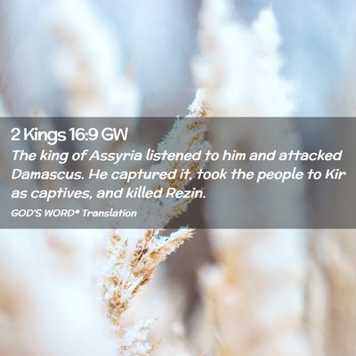 Picture 02 - 2 Kings 16:9 GW - The king of Assyria listened to him and attacked - Bible Verse Picture