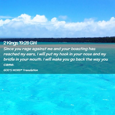 Picture 02 - 2 Kings 19:28 GW - Since you rage against me and your boasting has - Bible Verse Picture