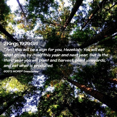 Picture 02 - 2 Kings 19:29 GW - “‘And this will be a sign for you, Hezekiah: - Bible Verse Picture