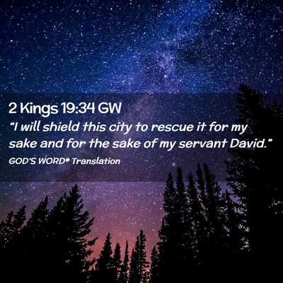 Picture 02 - 2 Kings 19:34 GW - “I will shield this city to rescue it for my - Bible Verse Picture