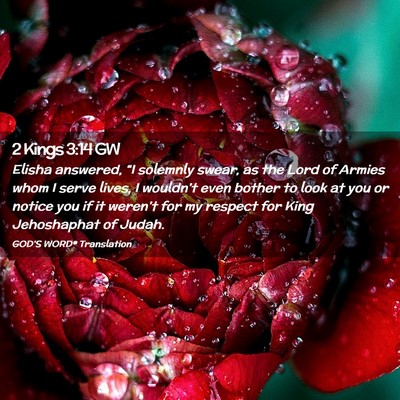 Picture 02 - 2 Kings 3:14 GW - Elisha answered, “I solemnly swear, as the Lord - Bible Verse Picture