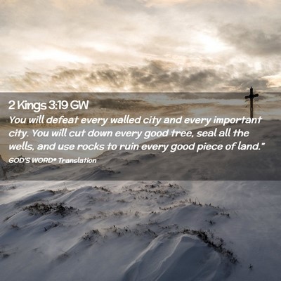 Picture 02 - 2 Kings 3:19 GW - You will defeat every walled city and every - Bible Verse Picture