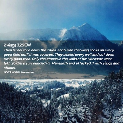 Picture 02 - 2 Kings 3:25 GW - Then Israel tore down the cities, each man - Bible Verse Picture