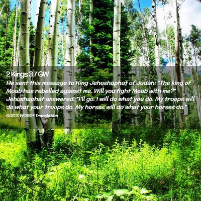 Picture 02 - 2 Kings 3:7 GW - He sent this message to King Jehoshaphat of - Bible Verse Picture