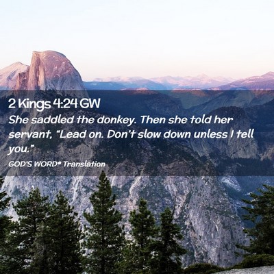 Picture 02 - 2 Kings 4:24 GW - She saddled the donkey. Then she told her - Bible Verse Picture