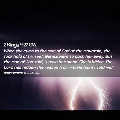 Picture 02 - 2 Kings 4:27 GW - When she came to the man of God at the mountain, - Bible Verse Picture