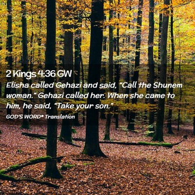 Picture 02 - 2 Kings 4:36 GW - Elisha called Gehazi and said, “Call the Shunem - Bible Verse Picture