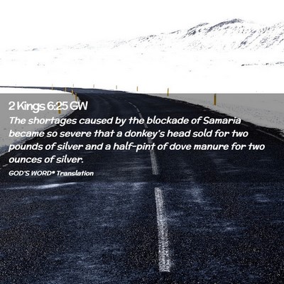 Picture 02 - 2 Kings 6:25 GW - The shortages caused by the blockade of Samaria - Bible Verse Picture