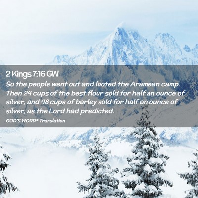Picture 02 - 2 Kings 7:16 GW - So the people went out and looted the Aramean - Bible Verse Picture