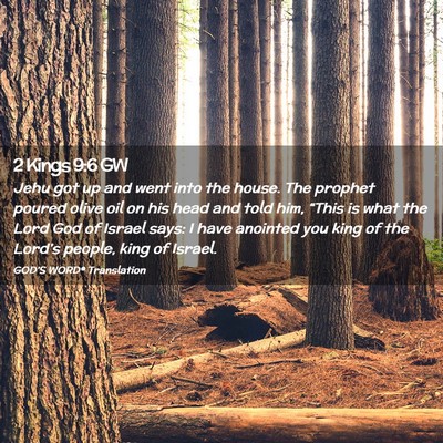 Picture 02 - 2 Kings 9:6 GW - Jehu got up and went into the house. The prophet - Bible Verse Picture