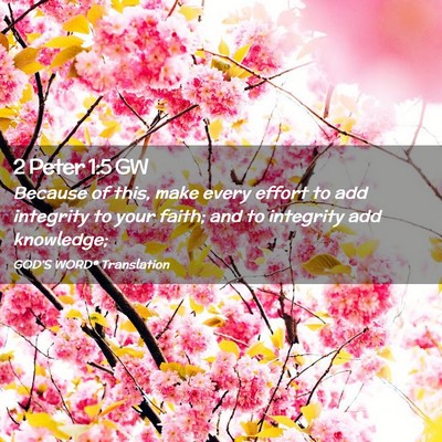 Picture 02 - 2 Peter 1:5 GW - Because of this, make every effort to add - Bible Verse Picture