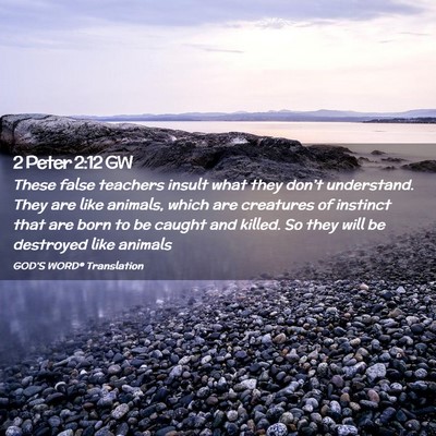 Picture 02 - 2 Peter 2:12 GW - These false teachers insult what they don’t - Bible Verse Picture