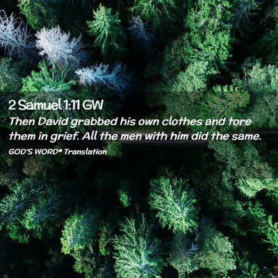 Picture 02 - 2 Samuel 1:11 GW - Then David grabbed his own clothes and tore them - Bible Verse Picture