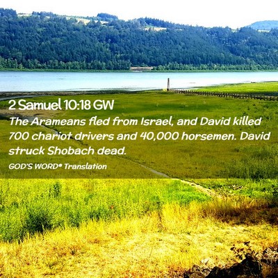 Picture 02 - 2 Samuel 10:18 GW - The Arameans fled from Israel, and David killed - Bible Verse Picture