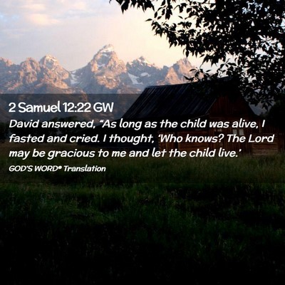 Picture 02 - 2 Samuel 12:22 GW - David answered, “As long as the child was - Bible Verse Picture