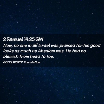 Picture 02 - 2 Samuel 14:25 GW - Now, no one in all Israel was praised for his - Bible Verse Picture