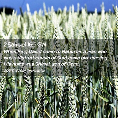 Picture 02 - 2 Samuel 16:5 GW - When King David came to Bahurim, a man who was a - Bible Verse Picture