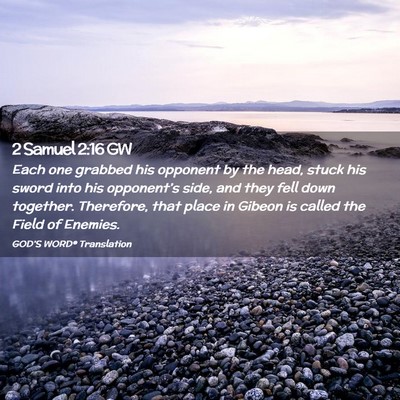 Picture 02 - 2 Samuel 2:16 GW - Each one grabbed his opponent by the head, stuck - Bible Verse Picture