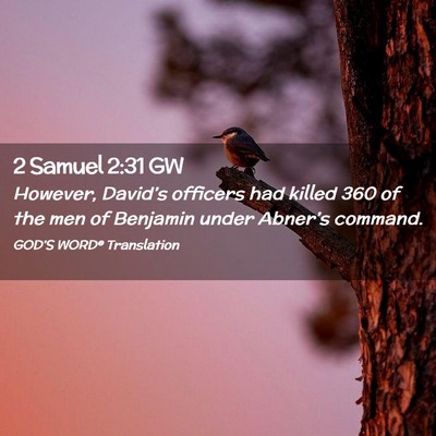 Picture 02 - 2 Samuel 2:31 GW - However, David’s officers had killed 360 of the - Bible Verse Picture