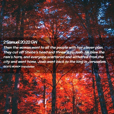 Picture 02 - 2 Samuel 20:22 GW - Then the woman went to all the people with her - Bible Verse Picture