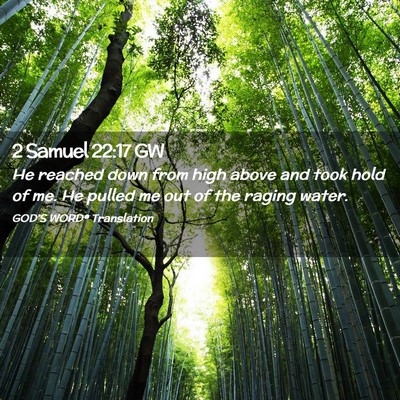 Picture 02 - 2 Samuel 22:17 GW - He reached down from high above and took hold of - Bible Verse Picture
