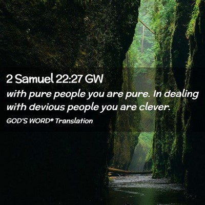Picture 02 - 2 Samuel 22:27 GW - with pure people you are pure. In dealing with - Bible Verse Picture