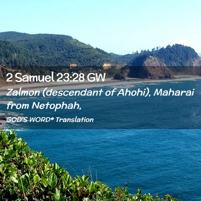 Picture 02 - 2 Samuel 23:28 GW - Zalmon (descendant of Ahohi), Maharai from - Bible Verse Picture