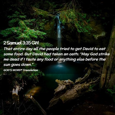 Picture 02 - 2 Samuel 3:35 GW - That entire day all the people tried to get David - Bible Verse Picture