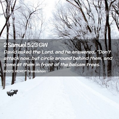 Picture 02 - 2 Samuel 5:23 GW - David asked the Lord, and he answered, “Don’t - Bible Verse Picture