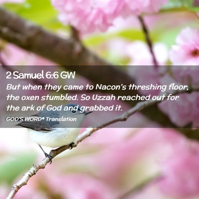 Picture 02 - 2 Samuel 6:6 GW - But when they came to Nacon’s threshing floor, - Bible Verse Picture