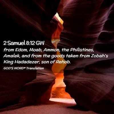 Picture 02 - 2 Samuel 8:12 GW - from Edom, Moab, Ammon, the Philistines, Amalek, - Bible Verse Picture